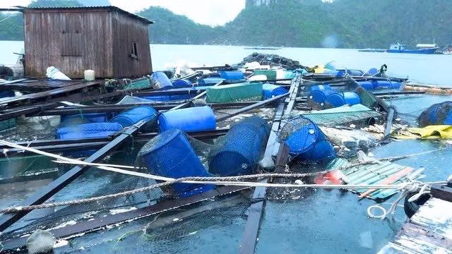 Nhiều người dân mất trắng tài sản sau bão số 3 Nhiều người dân mất trắng tài sản sau bão số 3