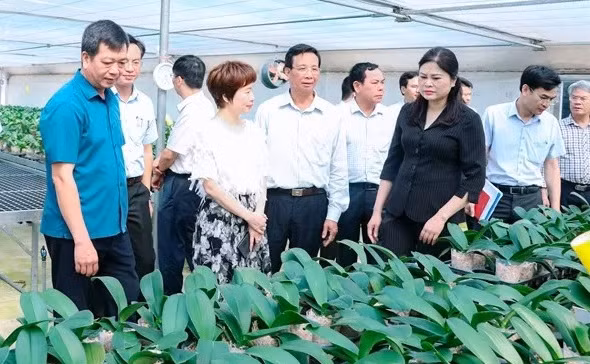 Lãnh đạo huyện thăm quan các mô hình phát triển kinh tế trên địa bàn