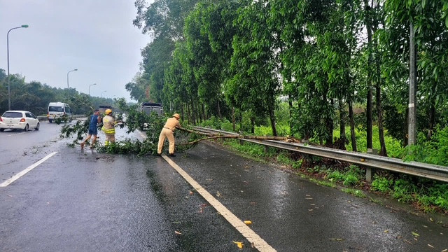 Lực lượng CSGT có mặt kịp thời trên tuyến đường huyết mạch Lực lượng CSGT có mặt kịp thời trên tuyến đường huyết mạch