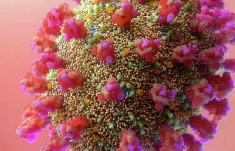 Biến thể phụ BA.2 nhanh chóng trở thành biến thể chiếm ưu thế ở Đan Mạch Biến thể phụ BA.2 nhanh chóng trở thành biến thể chiếm ưu thế ở Đan Mạch