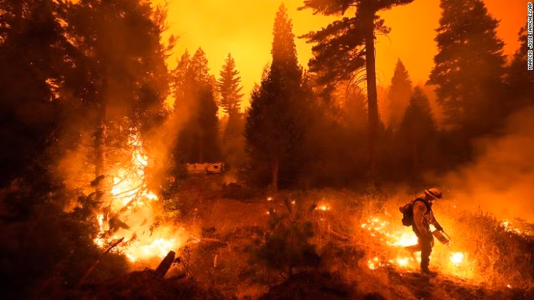 Bang California đang phải hứng chịu đợt cháy rừng dữ dội trong năm 2020 Bang California đang phải hứng chịu đợt cháy rừng dữ dội trong năm 2020