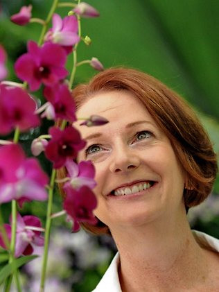 Loài hoa lan mới của Singapore mang tên Thủ tướng Australia ảnh 2