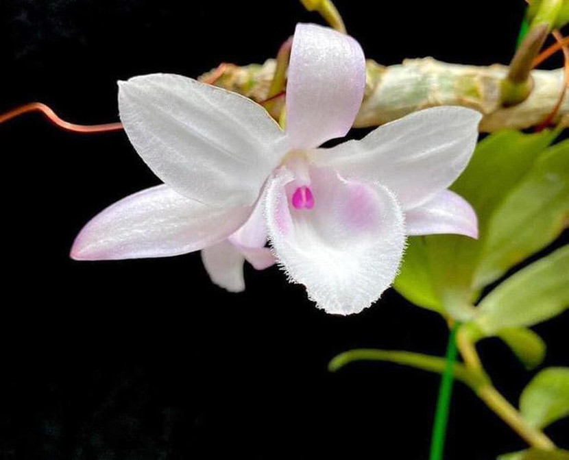 Ngân hàng Nhà nước Chi nhánh tỉnh Hòa Bình cho rằng hoạt động cho vay kinh doanh lan đột biến tiềm ẩn nhiều rủi ro