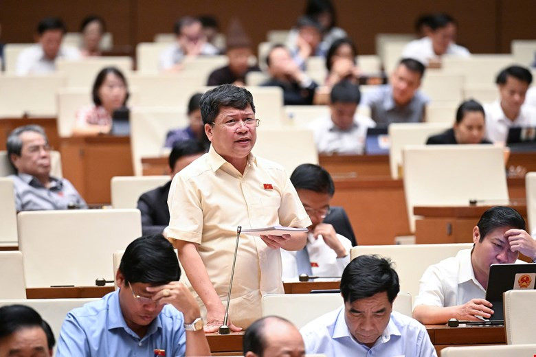 Đại biểu Tạ Văn Hạ (đoàn Quảng Nam) phát biểu