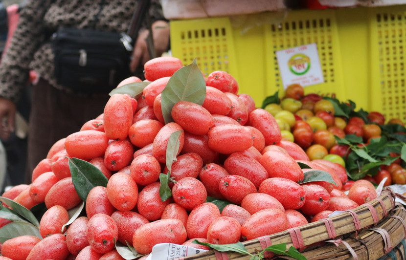 Tháng 3, mùa của những quả nhót ngập tràn phố thị Tháng 3, mùa của những quả nhót ngập tràn phố thị