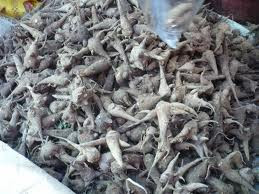 Phục hồi "chuyện ấy" bằng độc dược ảnh 4