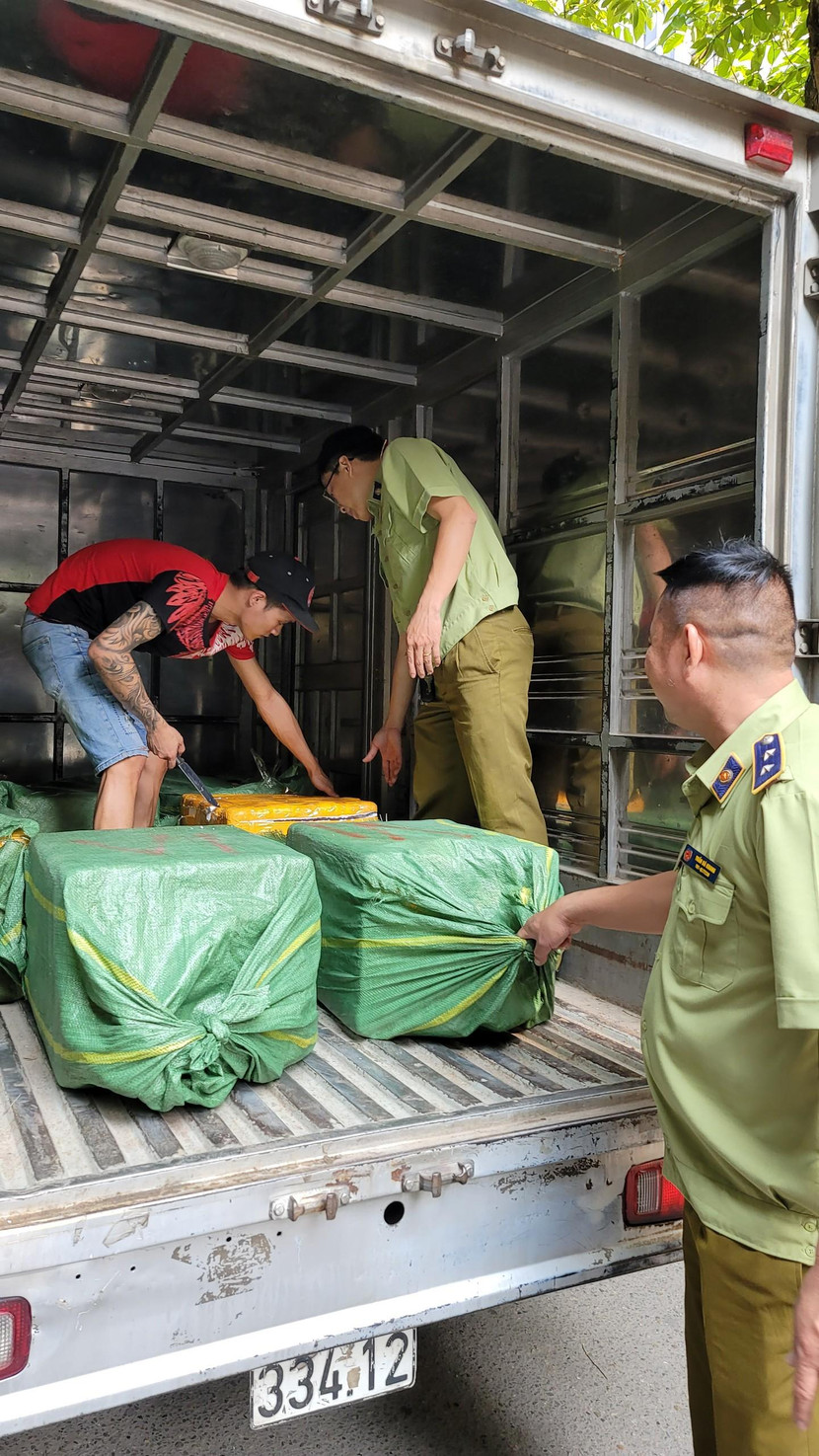 Khoảng 600 kg tràng trứng gà non được vận chuyển bằng ô tô