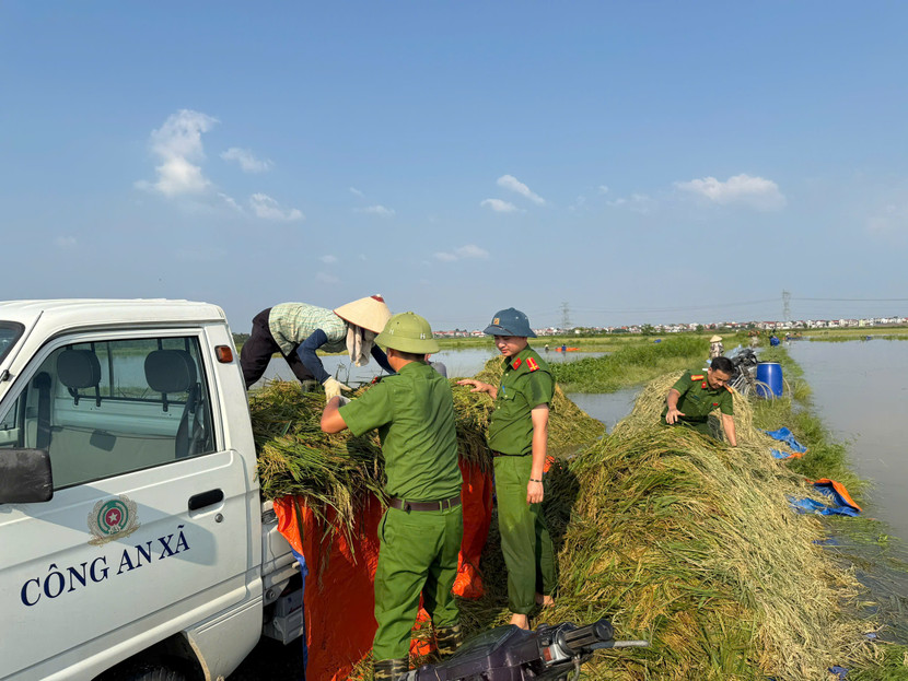 Công an Hà Nội "chạy đua" với lũ cứu lúa cho dân vùng ngập nặng Đa Phúc
