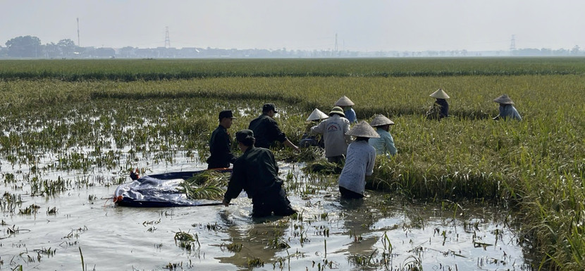 Công an Hà Nội giúp dân gặt lúa "chạy" mưa lũ...