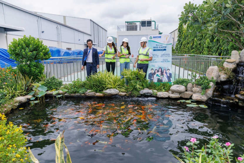 Hồ cá Koi được nuôi bằng chính nguồn nước thải tại nhà máy