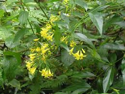 Ám ảnh vụ giết chồng để nuôi mộng giàu sang ảnh 2