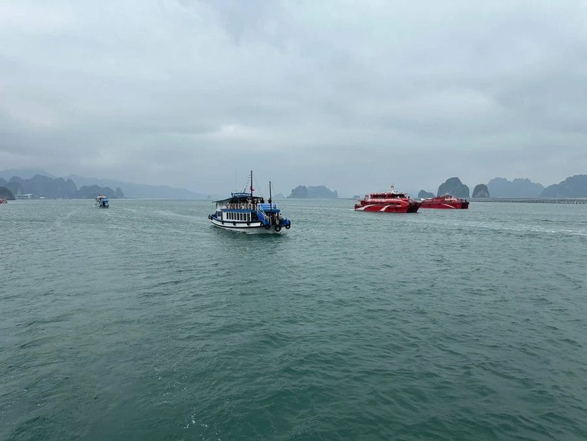 Vịnh Bái Tử Long (Quảng Ninh) Vịnh Bái Tử Long (Quảng Ninh)