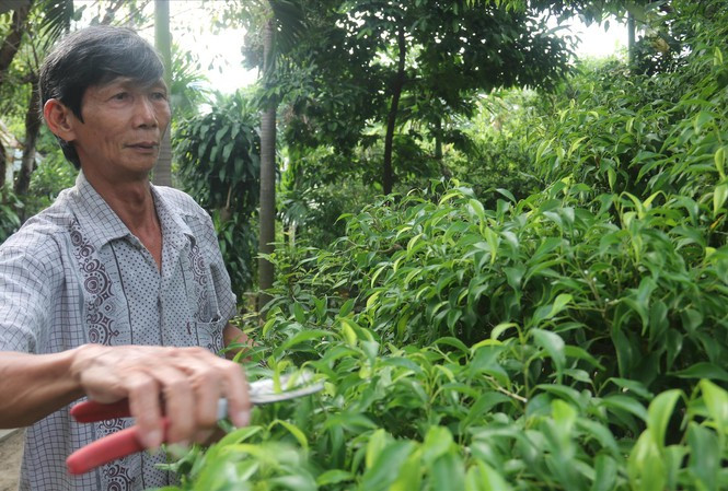 Ông Nguyễn Văn Côi khiếu kiện chính quyền vì đền bù không thỏa đáng