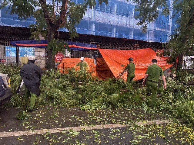 Thống kê sơ bộ, trên địa bàn phường Bạch Mai, giông lốc làm đổ cây tại nhiều khu vực: 81 Trần Đại Nghĩa, 92 Võ Thị Sáu, 157 Giải Phóng, 514 Bạch Mai...