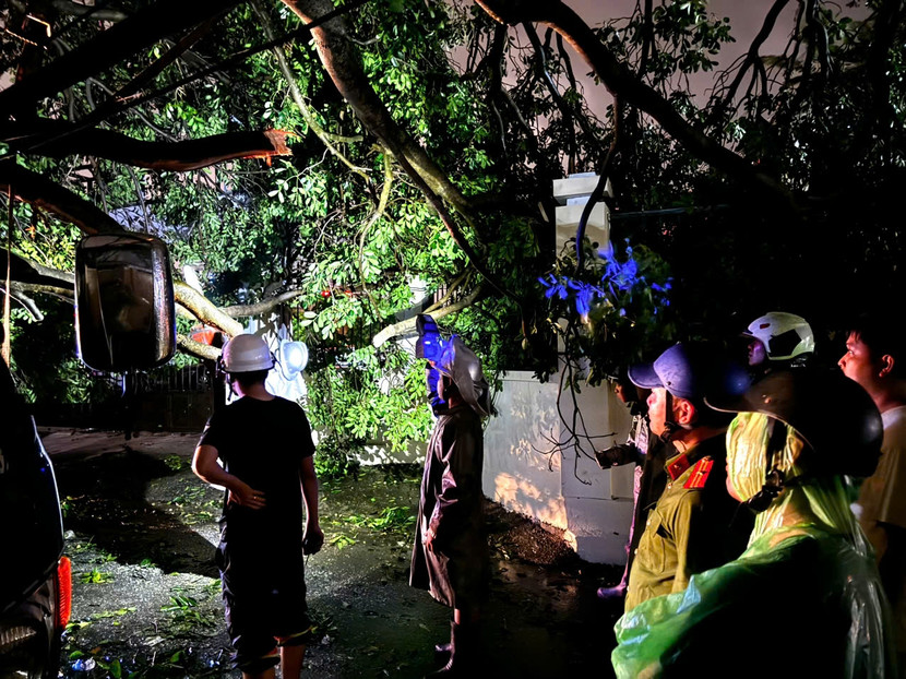 CAP Hoàng Liệt phối hợp xử lý sự cố cây đổ đêm 7-9 CAP Hoàng Liệt phối hợp xử lý sự cố cây đổ đêm 7-9