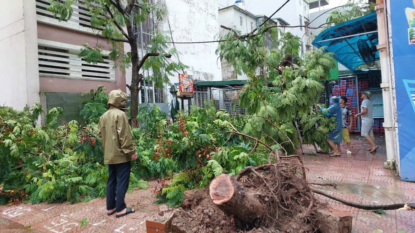 Khung cảnh tan hoang sân trường... Khung cảnh tan hoang sân trường...