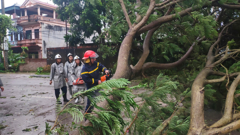 Lực lượng Công an huyện Sóc Sơn xử lý sự cố cây đổ chắn đường giao thông