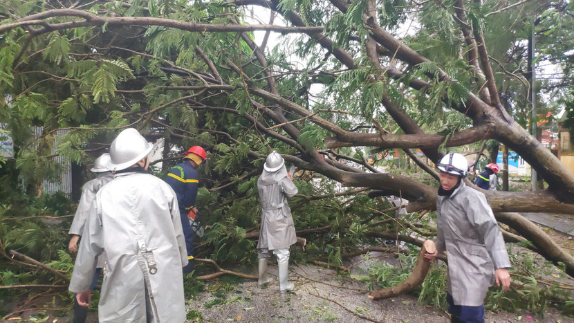 Lực lượng Công an huyện Sóc Sơn xử lý sự cố cây đổ chắn đường giao thông