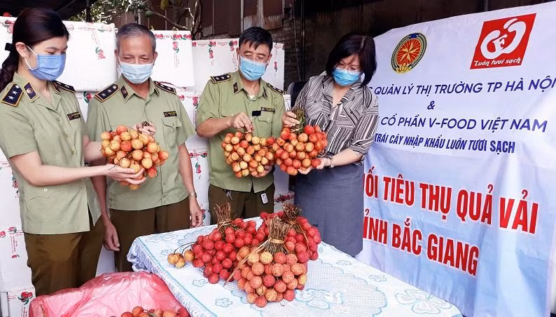 Lực lượng Quản lý thị trường tích cực hỗ trợ người dân tỉnh Bắc Giang tiêu thụ vải