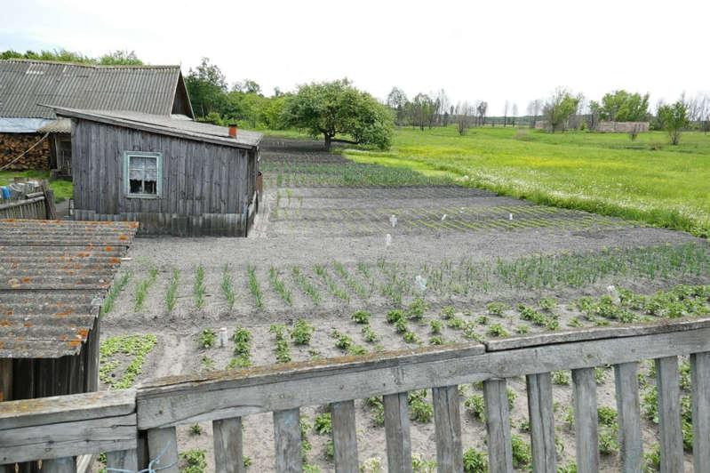 Vườn rau của người dân ở vùng 2 – “Khu vực phải tránh xa”, nơi người dân được lệnh phải rời đi sau thảm họa nhưng hàng nghìn người hiện vẫn đang sinh sống