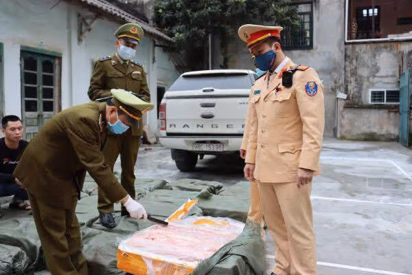 CSGT và lực lượng chức năng kiểm tra xử lý số nầm lợn thối