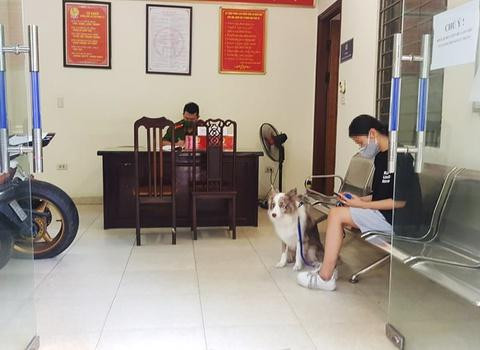 CAP Hàng Trống lập bên bản xử phạt cô gái dắt chó đi dạo ngoài phố CAP Hàng Trống lập bên bản xử phạt cô gái dắt chó đi dạo ngoài phố