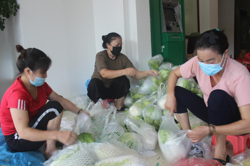 CAQ Cầu Giấy tổ chức phân loại các nông sản, nhu yếu phẩm thiết yếu để dành tặng người dân CAQ Cầu Giấy tổ chức phân loại các nông sản, nhu yếu phẩm thiết yếu để dành tặng người dân