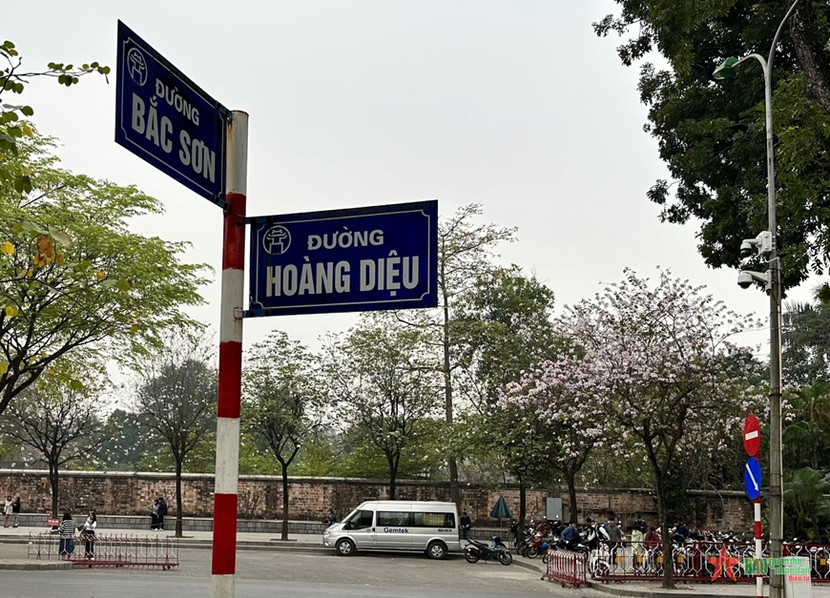 Các con phố Bắc Sơn, Hoàng Diệu như khoác lên mình màu áo mới bởi sắc màu hoa ban Tây Bắc Các con phố Bắc Sơn, Hoàng Diệu như khoác lên mình màu áo mới bởi sắc màu hoa ban Tây Bắc