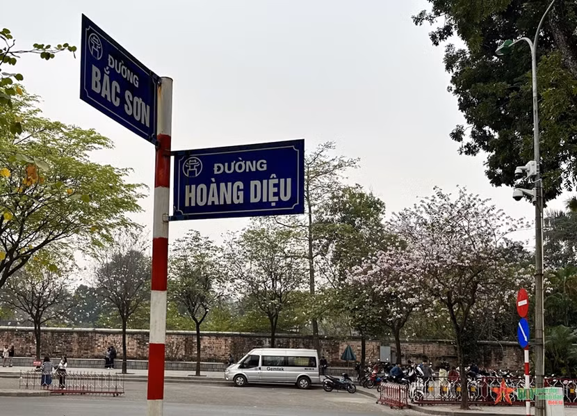 Các con phố Bắc Sơn, Hoàng Diệu như khoác lên mình màu áo mới bởi sắc màu hoa ban Tây Bắc Các con phố Bắc Sơn, Hoàng Diệu như khoác lên mình màu áo mới bởi sắc màu hoa ban Tây Bắc