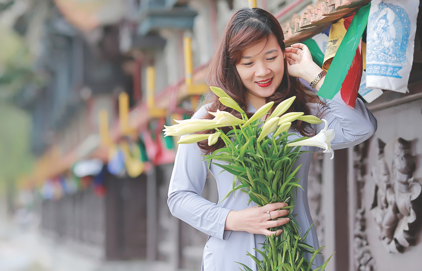 Hoa loa kèn trắng tinh khôi mang tới khoảnh khắc dịu dàng giữa lòng đô thị