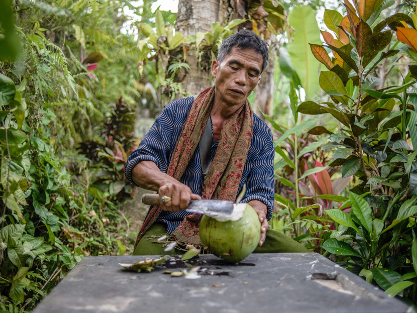 Kinh tế bị ảnh hưởng bởi đại dịch, sinh viên Bali có thể nộp học phí bằng quả dừa và lá cây có giá trị