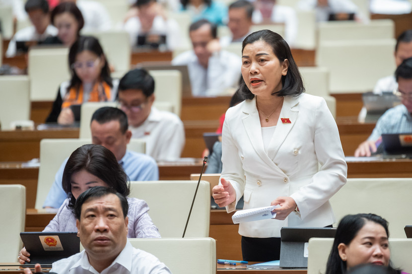 Đại biểu Nguyễn Thị Xuân (đoàn Đắk Lắk) chất vấn