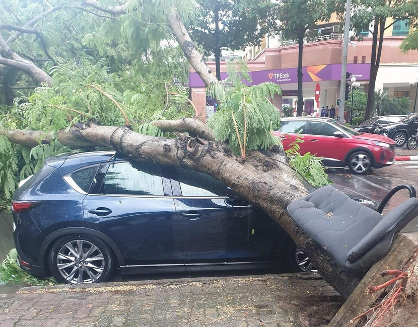 Cây xanh gãy đổ đè vào xe ô tô gây hư hỏng nặng