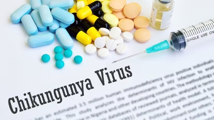 Virus Chikungunya gây sốt và đau khớp nghiêm trọng, thường xuất hiện ở những vùng nhiệt đới Virus Chikungunya gây sốt và đau khớp nghiêm trọng, thường xuất hiện ở những vùng nhiệt đới