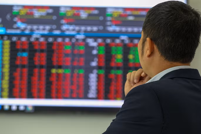 Thị trường chứng khoán đang hấp dẫn nhà đầu tư cá nhân trong nước