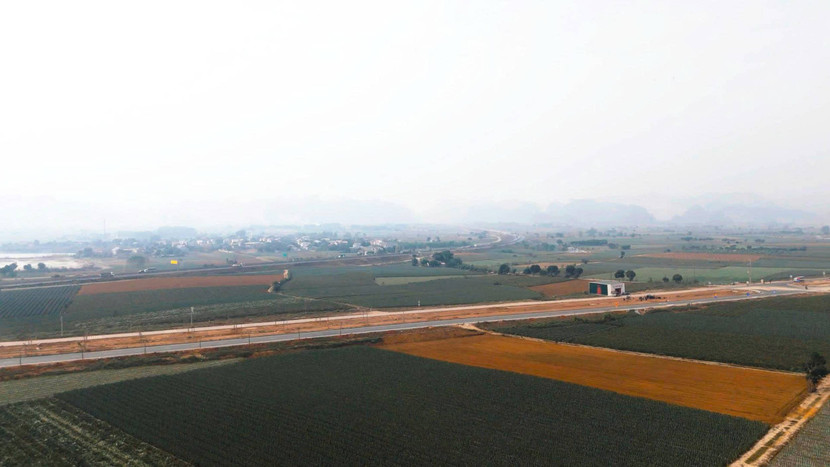 Thảo nguyên dứa Tam Điệp - nơi được chọn làm bối cảnh cho garage xe hơi trong phim "Đồi hành xác: Tà thuyết đen trở lại"