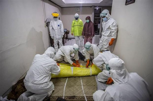 Indonesia đang trở thành tâm dịch lớn nhất trên thế giới Indonesia đang trở thành tâm dịch lớn nhất trên thế giới