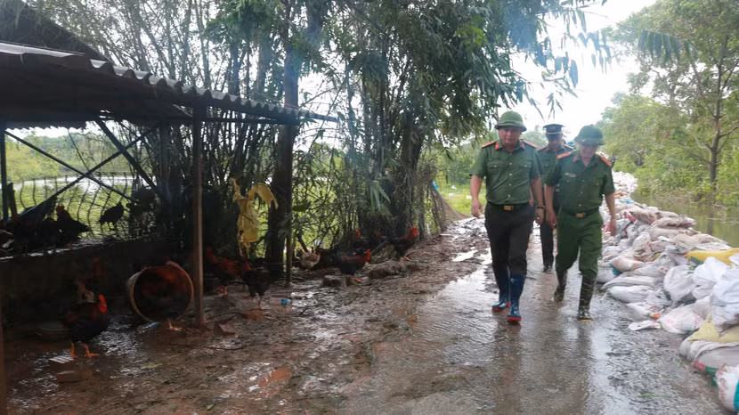 Khoảng 1km đê quai đã được triển khai thần tốc, ngăn nước sông Cà Lồ tràn vào khu dân cư