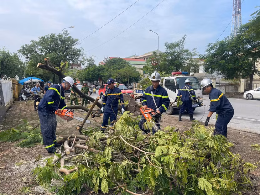 Xe chuyên dụng được huy động để vận chuyển các cành cây đến vị trí tập kết