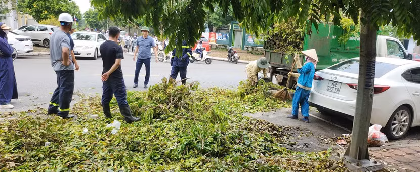 Để chuyển sang cắt tỉa các cây, cành bị gãy đổ Xe chuyên dụng được huy động để vận chuyển các cành cây đến vị trí tập kết
