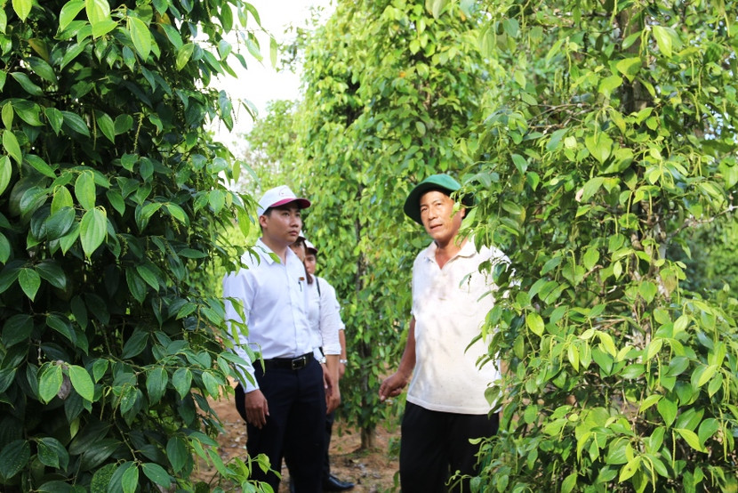 Agribank tiếp tục hỗ trợ và đồng hành cùng doanh nghiệp, người dân vượt qua khó khăn, góp phần phục hồi sản xuất kinh doanh sau dịch