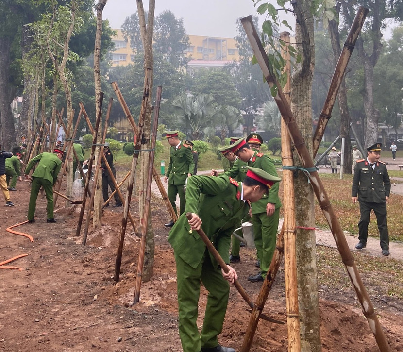 10 cây xanh được trồng trong lễ phát động