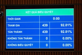 Quốc hội thông qua Nghị quyết về việc giám sát chuyên đề và chất vấn