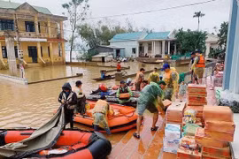Từ 1-3, quỹ từ thiện, quỹ xã hội sẽ bị đình chỉ hoạt động có thời hạn trong những trường hợp nào?
