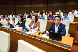 Quốc hội xem xét chế độ ưu đãi vượt trội và chính sách tiền lương với luật sư công 