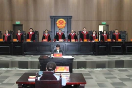 Từ 15-1: Thẩm phán Tòa án nhân dân không được xem xét bổ nhiệm lại trong những trường hợp nào?