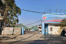 Hải Phòng báo cáo gì về kiểm tra, giám sát vệ sinh thú y đối với Công ty đồ hộp Hạ Long?