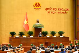 Tỷ lệ đại biểu Quốc hội chuyên trách đạt 40%, cao nhất từ trước đến nay