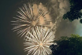 Chính thức: Doanh nghiệp thuộc Bộ Công an được sản xuất pháo hoa nổ từ 15-3