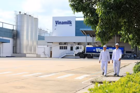 Vinamilk tiếp tục là đại diện duy nhất của ngành sữa Việt Nam trong Fortune 500 Đông Nam Á